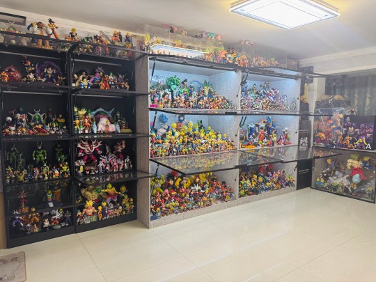 收藏又壮大了！