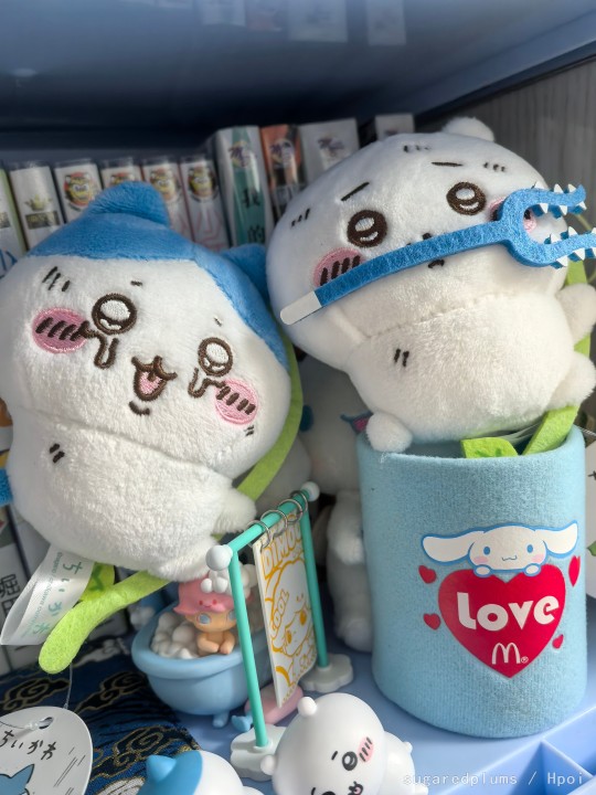 【2024年终总结】一年又过去了