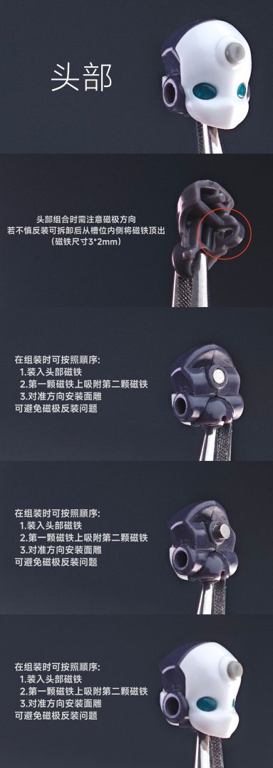 [全开工作室] 拼装注解 -多米&尸者永生