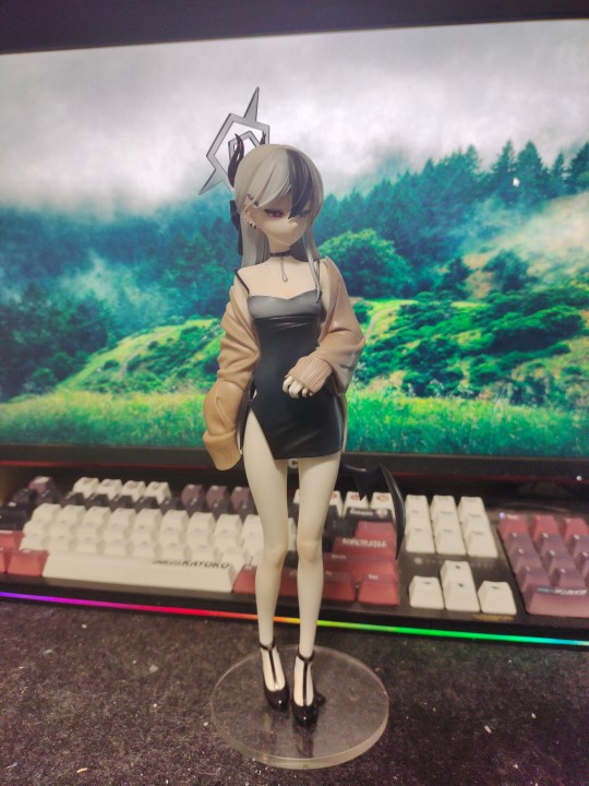 新手做模，脑婆脑婆😍