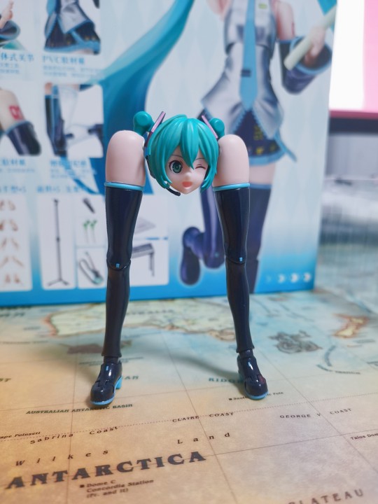 这初音可太好了