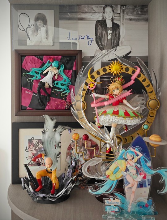 为了25周年小樱定做的柜子