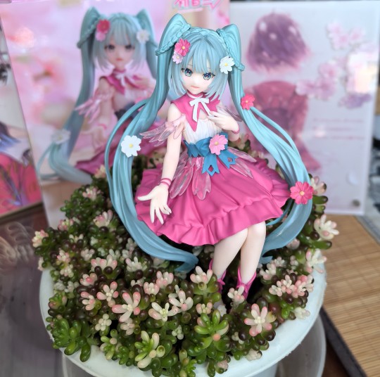 性价比之王便宜又好看