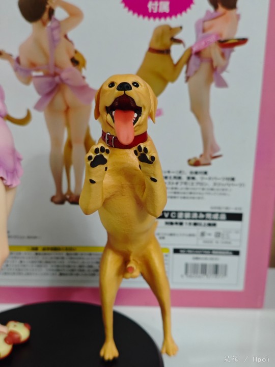 大气早期精品系列 性价比超高