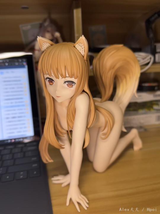 很好的赫萝，使我半小时了论文只字未动