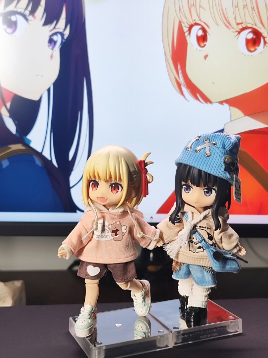 [2024年度总结]莉可莉丝的两个娃，今年养的