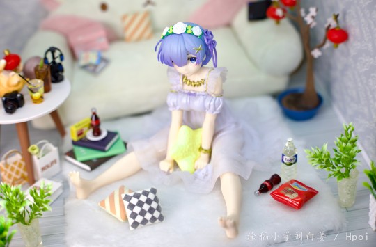 新的一年 可可爱爱～