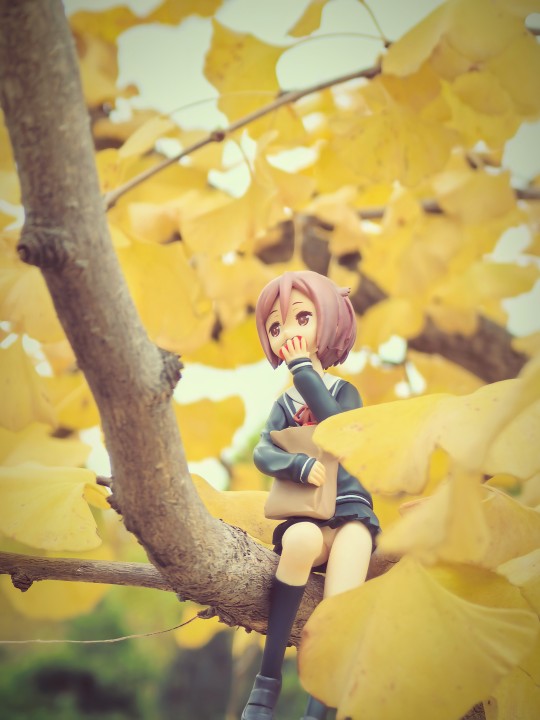 秋天在学校里面随手拍哒