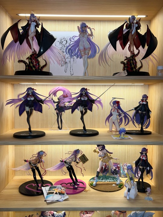 我不在乎那些御主不喜欢我，因为我漂亮得要命💅