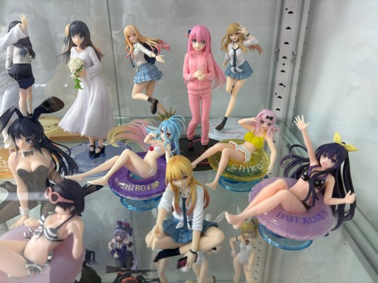 【2024年终总结】更多景品，柜子要满喽