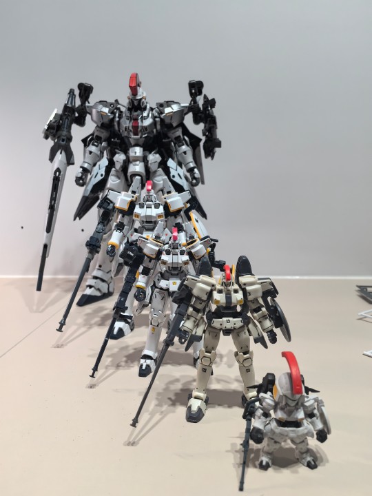 大小不同的托鲁斯基1