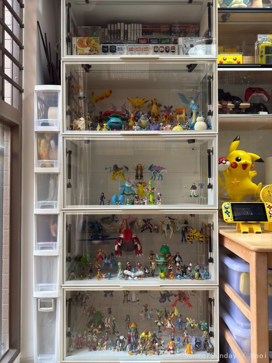 万代宝可梦比例世界手办食玩