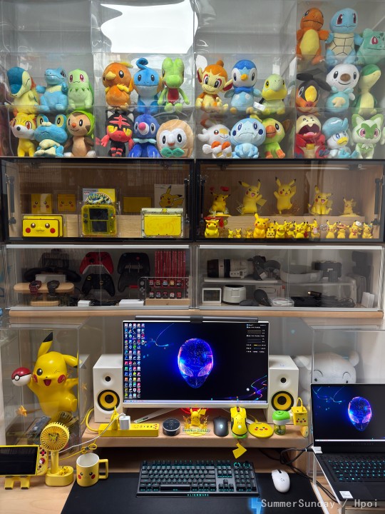 宝可梦历代御三家一阶毛绒