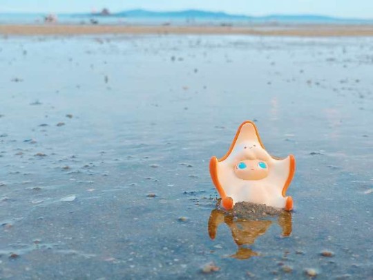 【2024年终总结】望新一年 诸事顺意