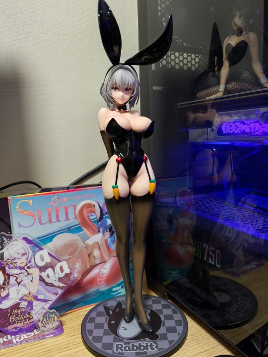 fancam黑兔到货水