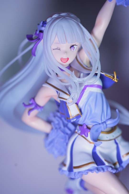 今年第一只爱蜜莉雅