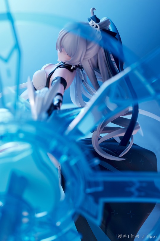 谁说这🐻小啊？这🐻太棒了！