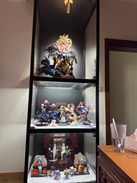 成年后自己攒的第一个手办柜