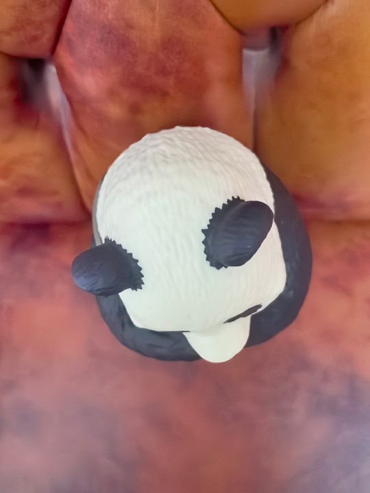 panda