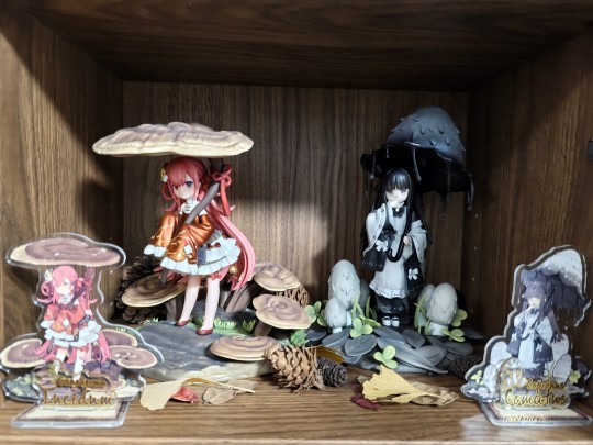 感谢逆转了却我的心愿！