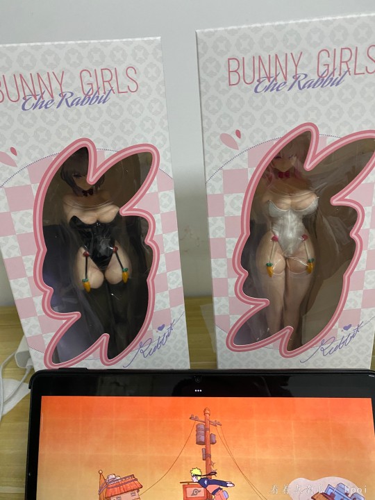 双入组合 ss家预定的