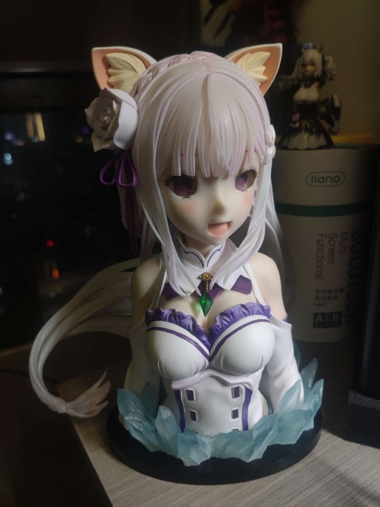 猫耳爱蜜莉雅last赏