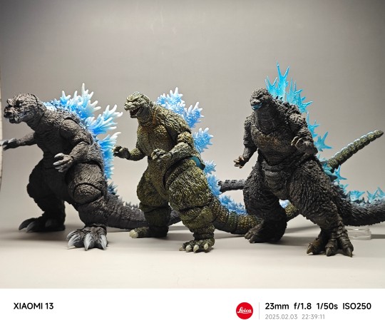 蓝背大家庭，集合！