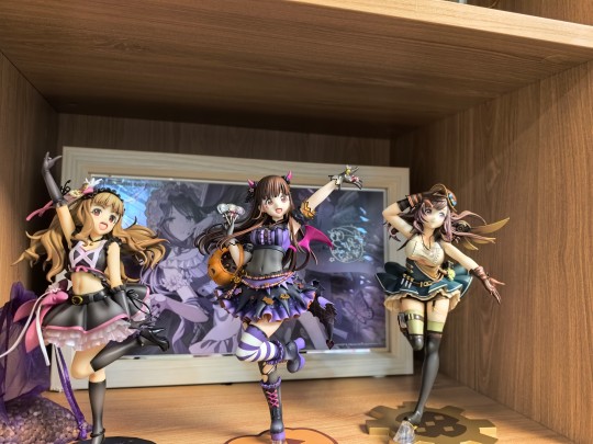 巧克～半年前在kbooks偶遇的惊喜