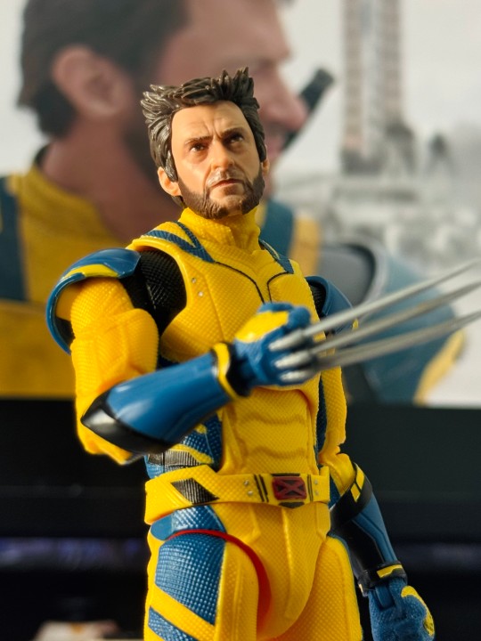 来自好兄弟的礼物