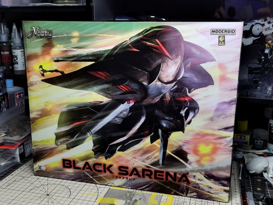 GSC  黑百合  到手随拍