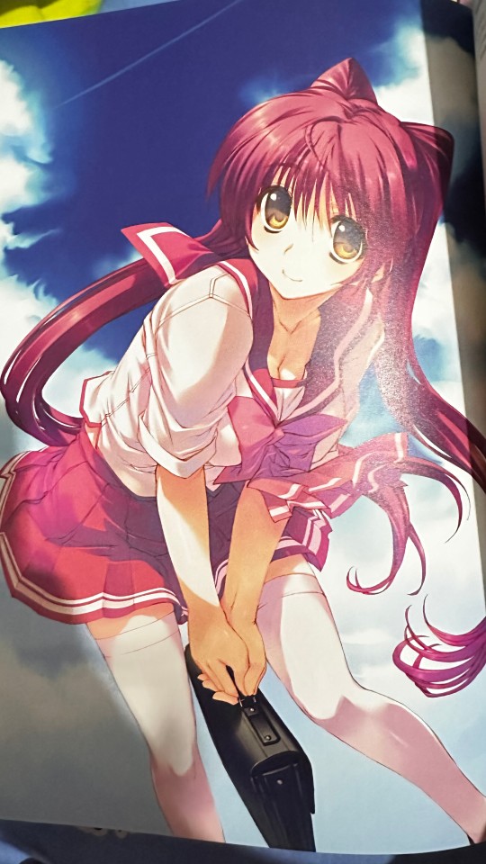 翻了一下甘露树原画集找到了原画