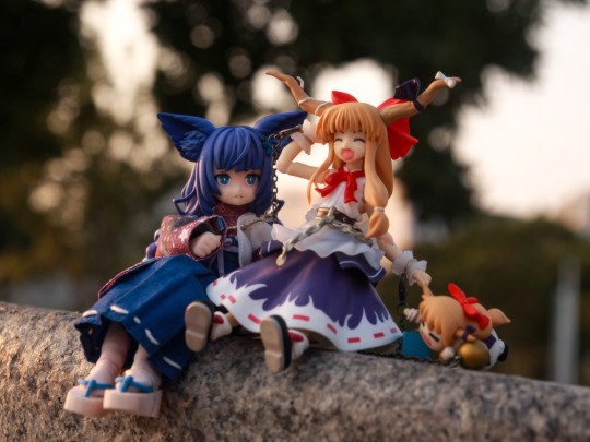 趁去学校前拍点