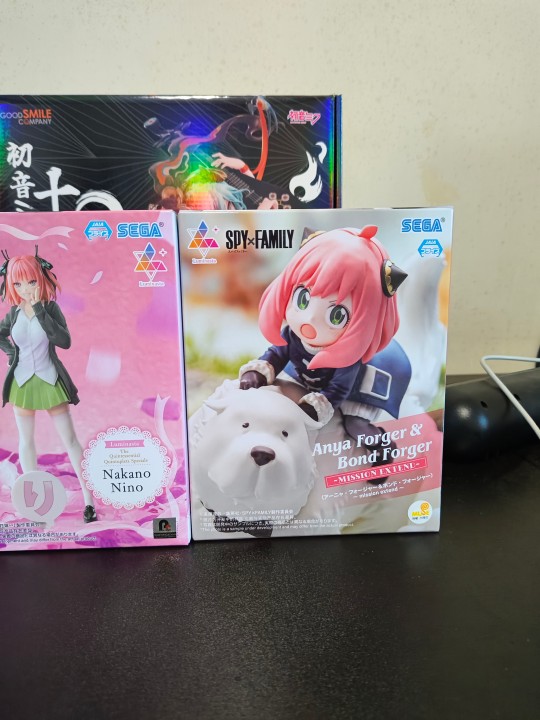 世嘉阿尼亚骑狗到货水