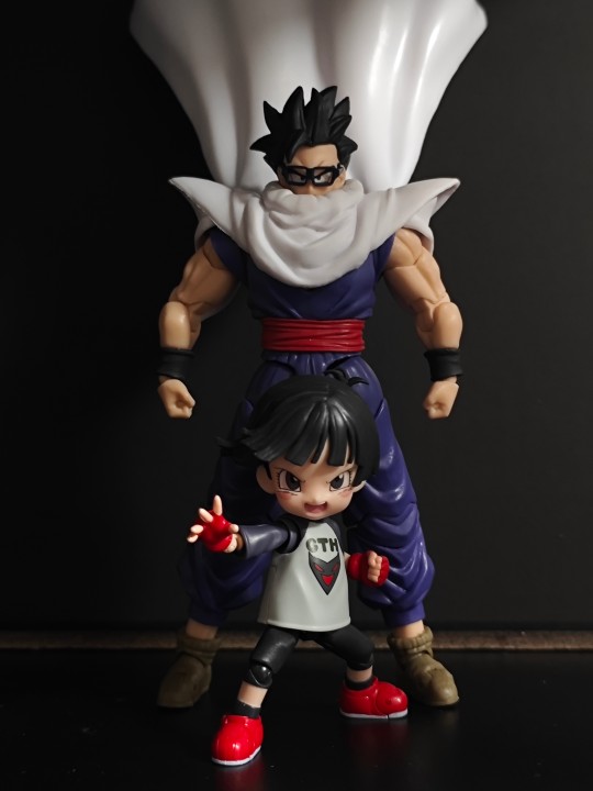 shf龙珠超：超级英雄小芳