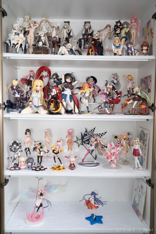 曝柜（24年的）