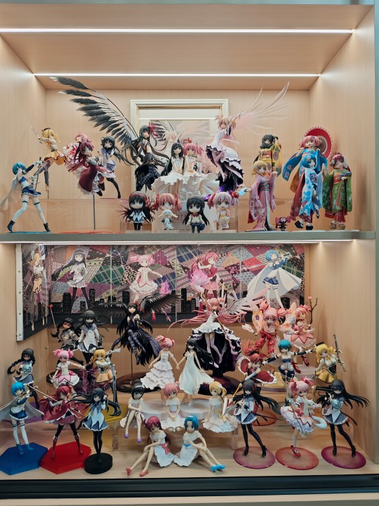 新买的圆焰连衣裙！囊中羞涩只能买拆摆了，海淘全新的价格太吓人了。