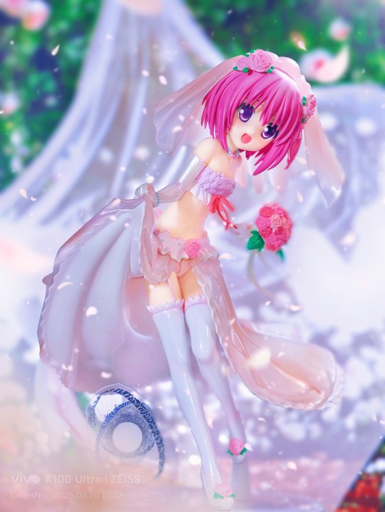 【萝莉非常推荐】凑智花 婚纱