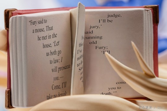 【p了一下】爱丽丝书本修改