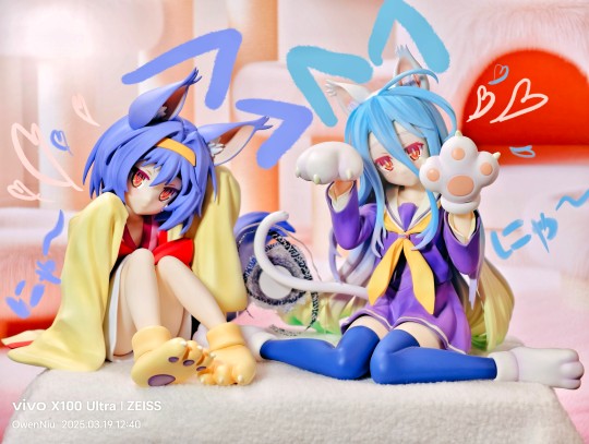 【萝莉推荐】猫耳依纲【不推荐】猫耳白