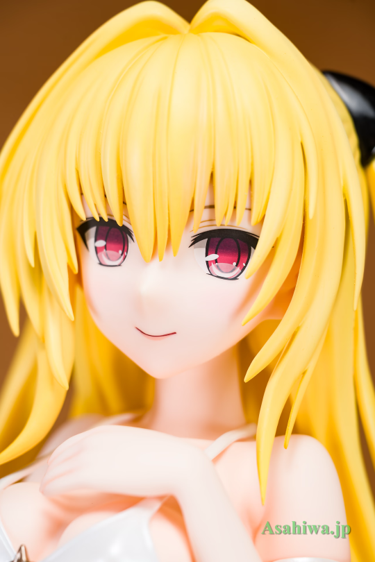 【白】金色暗影 泳装 with 体操服