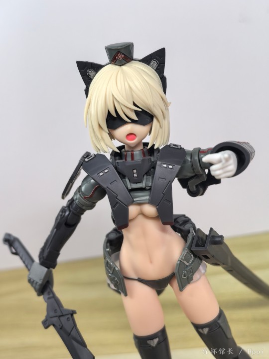 小猫咪你现在可以被我狠狠的拍照📸