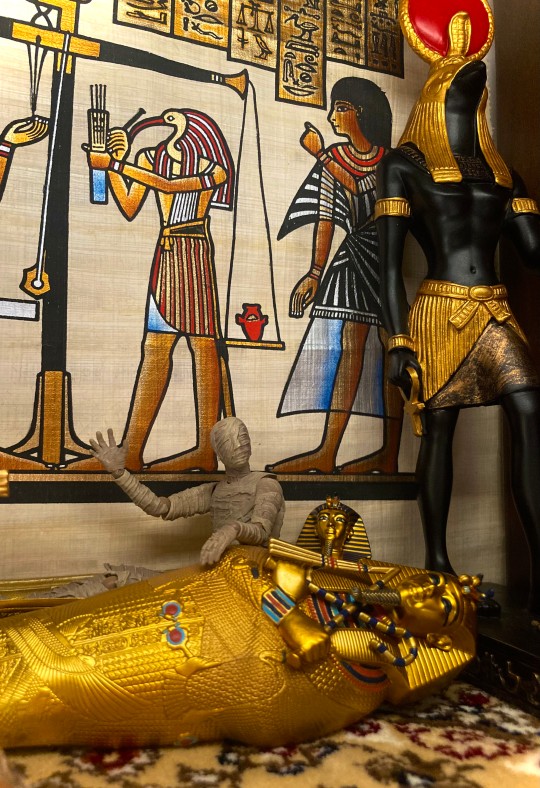 老乡们，我胡坦卡蒙又回来了