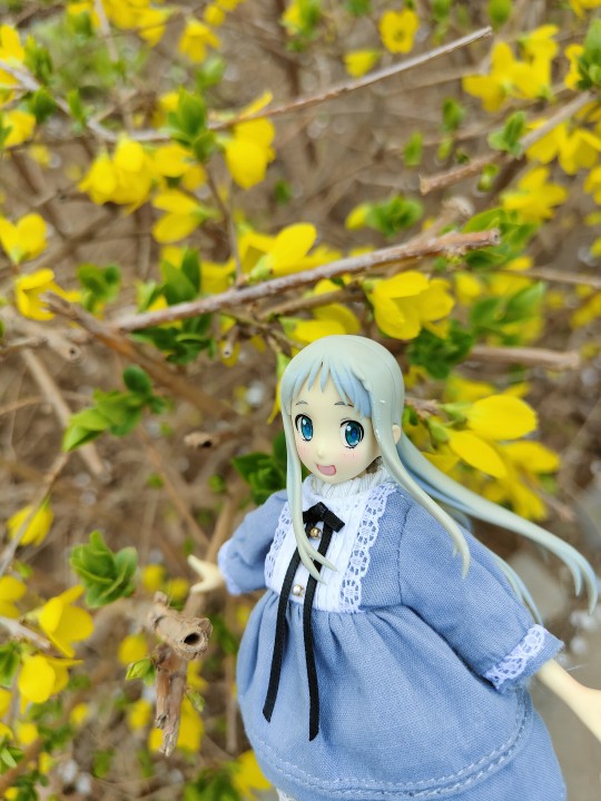 wave 本间芽衣子