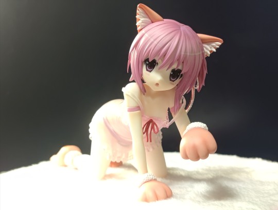 回天堂 凑智花 萝球社ss 记录