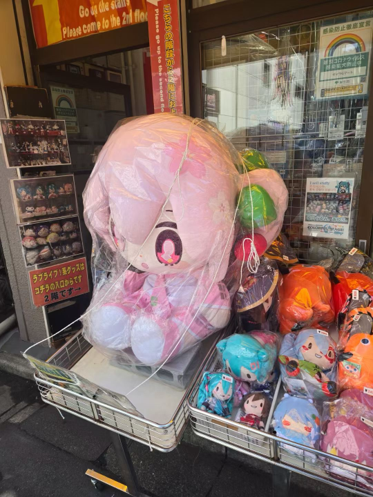 去年逛秋叶原店门口看到的