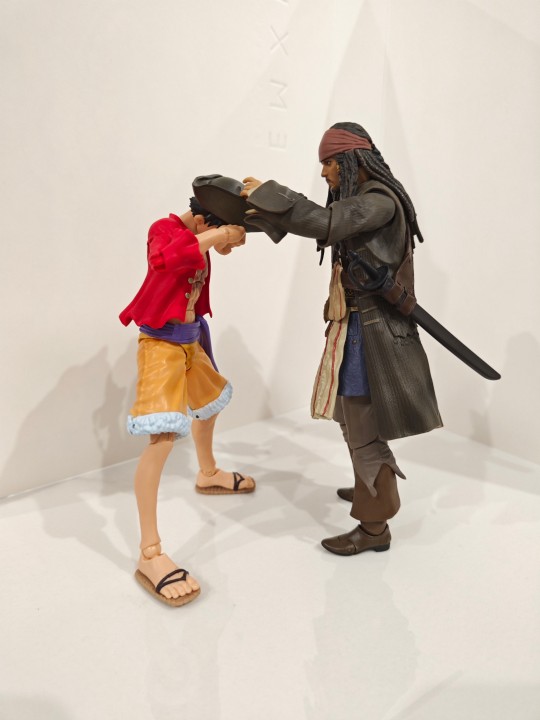 加勒比海-贼王，我当定了