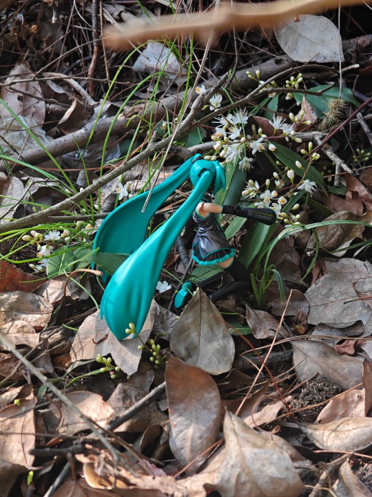 莪婹厾②佽沅泩萿