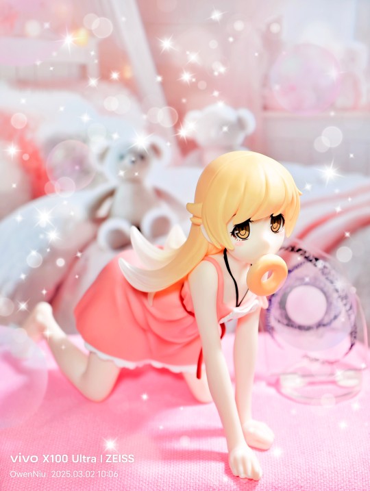 【萝莉推荐】忍野忍