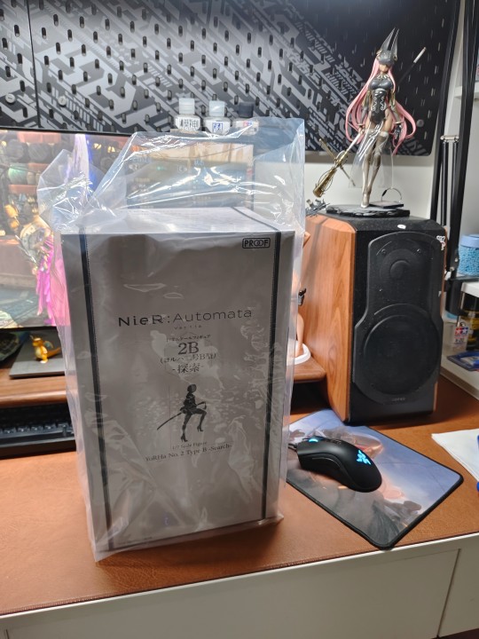 尼尔：自动人形（动画版） 2B