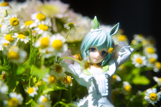 青雲の空を 駆け抜けた稲妻よ 永遠なれ